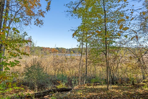 Tiny photo for 10154 Connelley Avenue NE, Oakfield Township, MI 48838 (MLS # 65026055840)