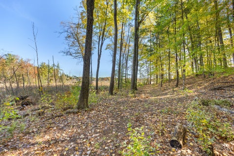 Tiny photo for 10154 Connelley Avenue NE, Oakfield Township, MI 48838 (MLS # 65026055840)