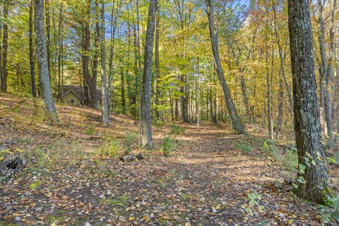 Tiny photo for 10154 Connelley Avenue NE, Oakfield Township, MI 48838 (MLS # 65026055840)