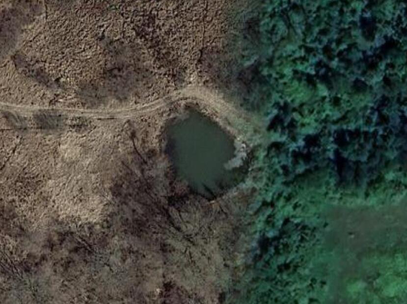14601 Sharon Hollow Road