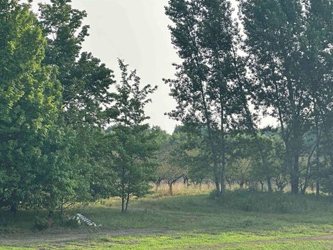 Parcel 11 Karnes Road Empire Township MI 49636