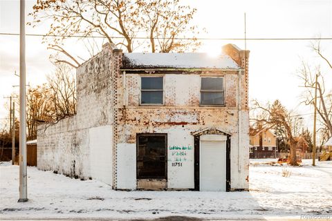 11751 Grand River Avenue Detroit City MI 48204