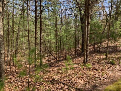 Lenox Avenue Summit Township MI 49449