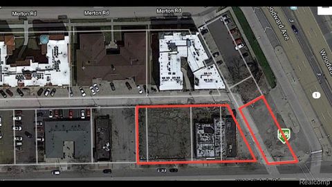 17105 Woodward Avenue Detroit City MI 48203