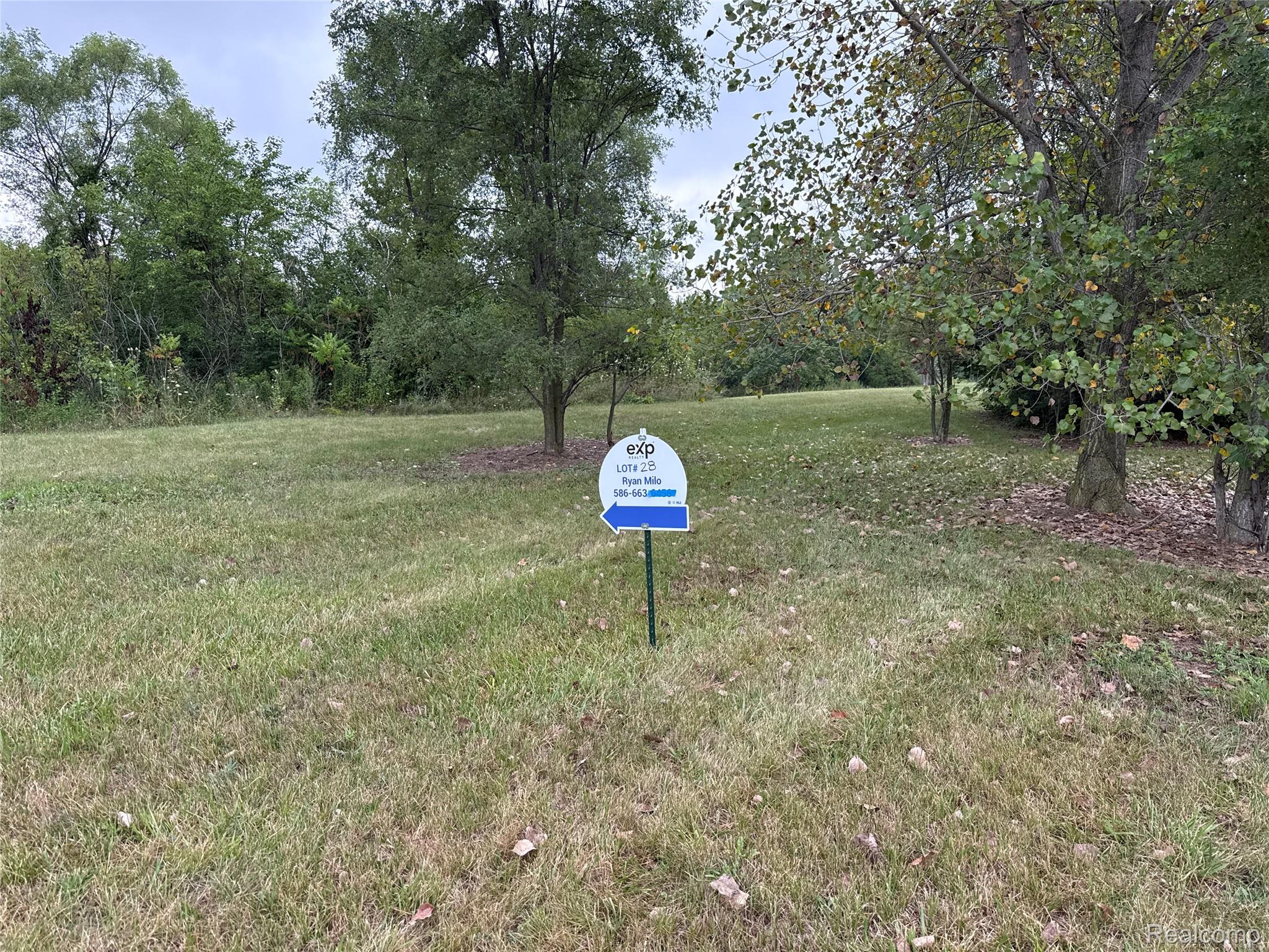 9166 Potterville Drive