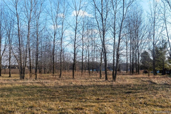 6139 SHARP RD, SWARTZ CREEK, MI 48473 - Image 2ed57a6a17cdbb535e2cd79dba9a2638/1724034858