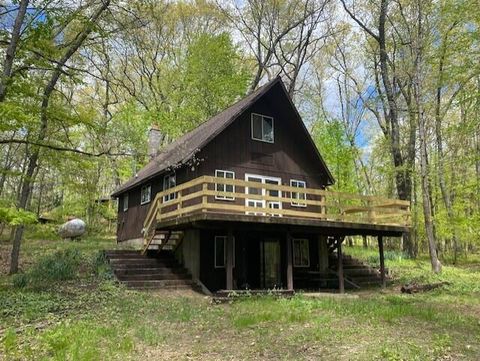 238 Maple Street Lilley Township Newaygo MI 49309
