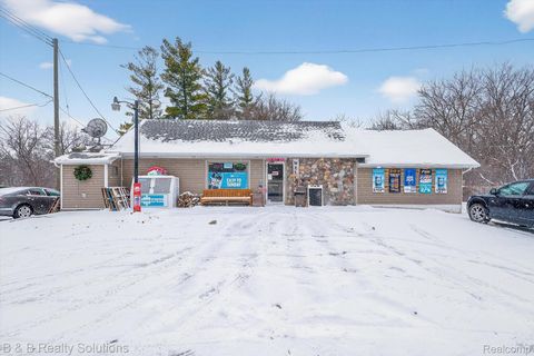 5009 Lapeer Road Deerfield Township MI 48421