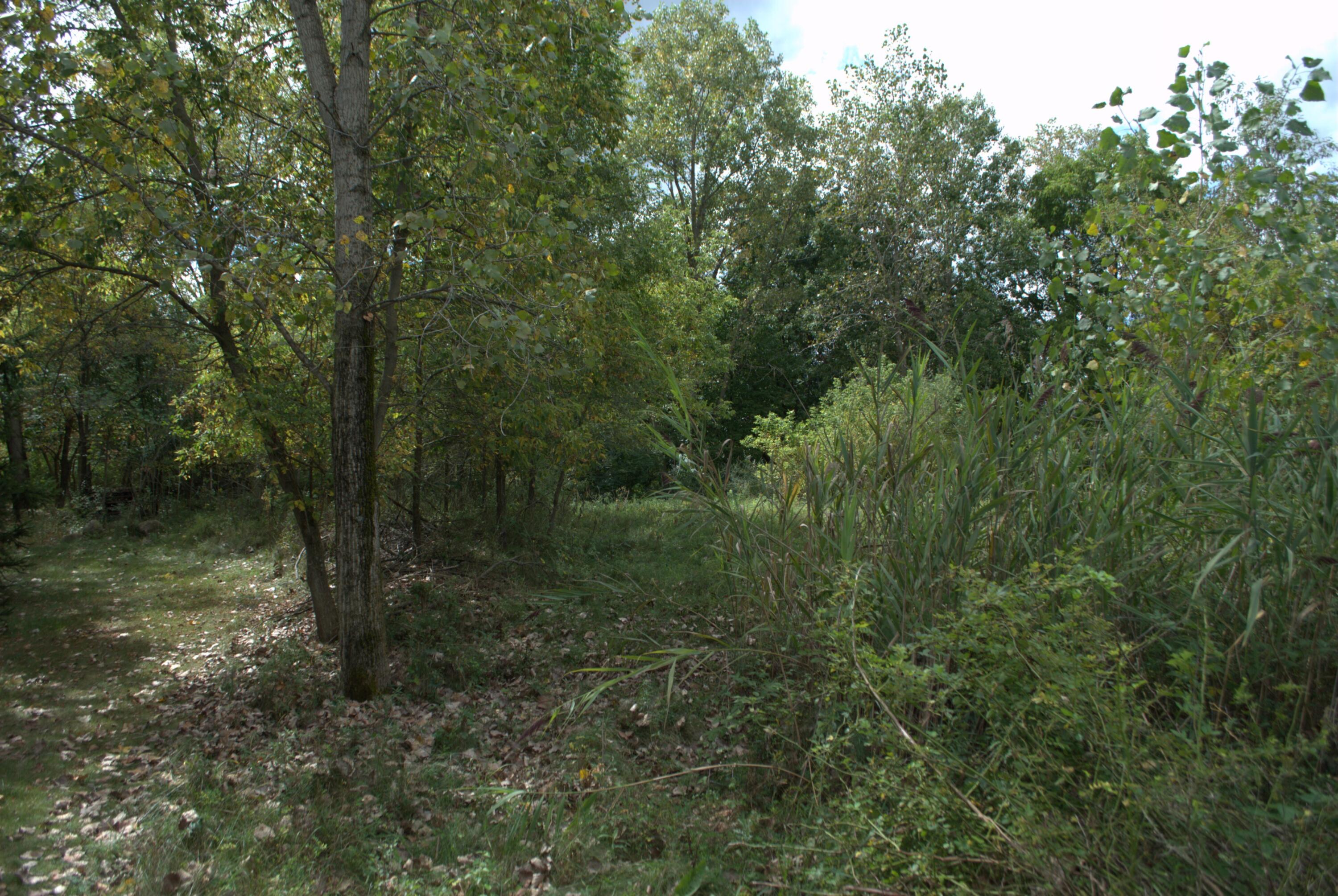 3847 Lake Vista Drive