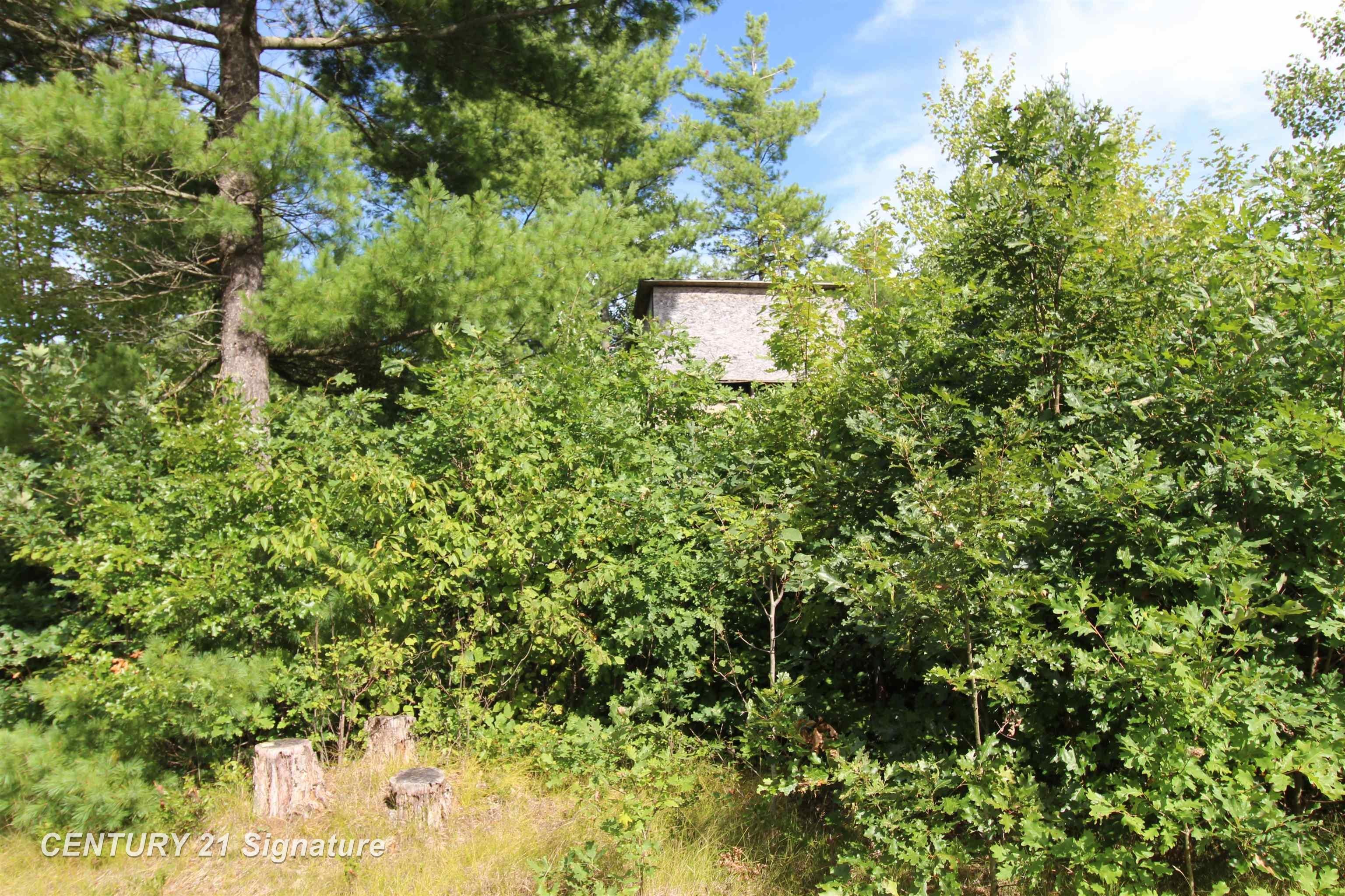 6595 Wickert Road