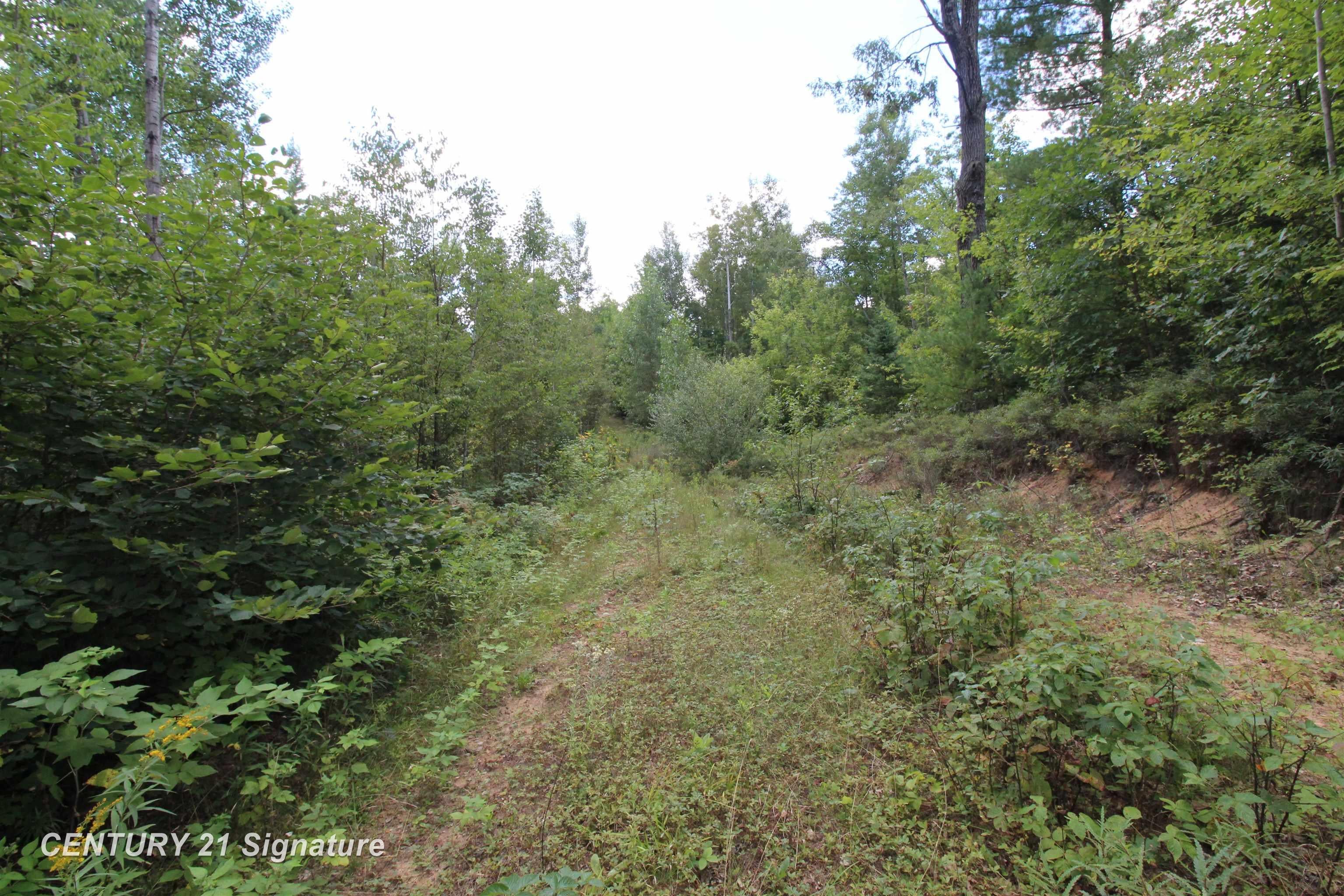 6595 Wickert Road