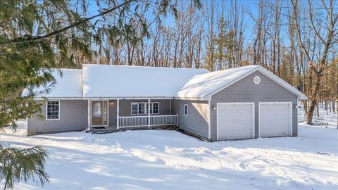 6131 Shellenbarger Road Plainfield Township MI 48739