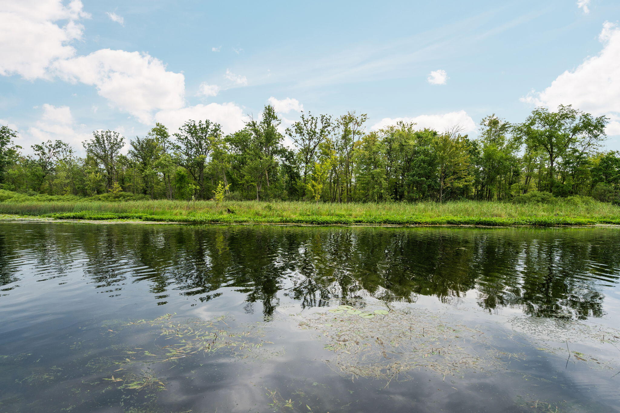4405 Shoreview Lane