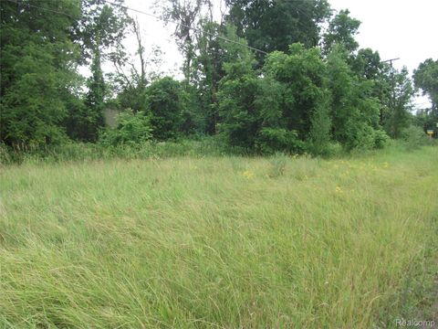 0000 SEYMOUR LAKE DR Brandon Charter Township MI 48462