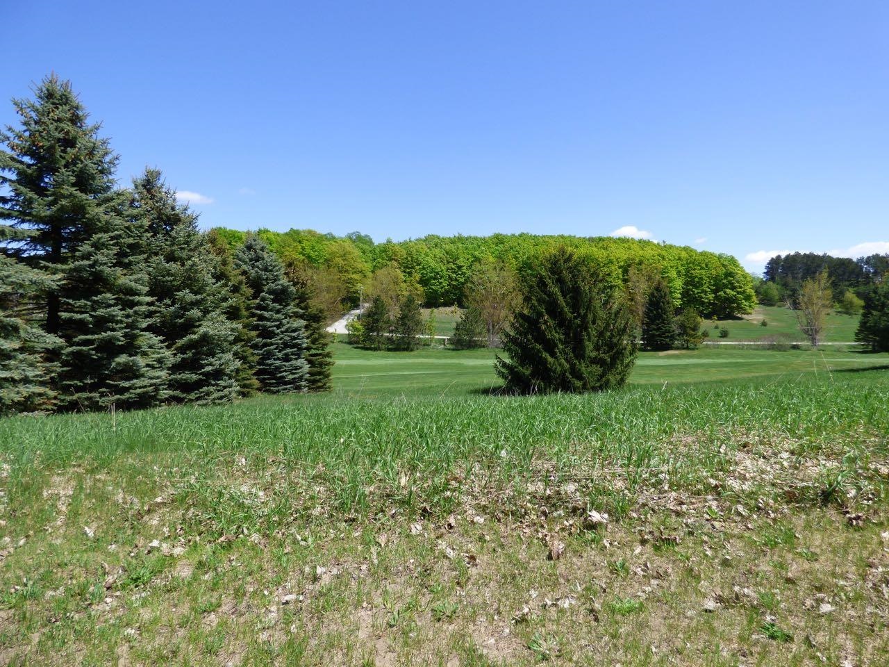 Unit 37 Golf Meadows Drive