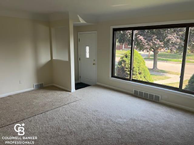 20618 Sunnyside Street