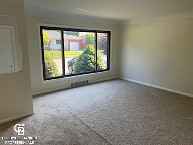 20618 Sunnyside Street