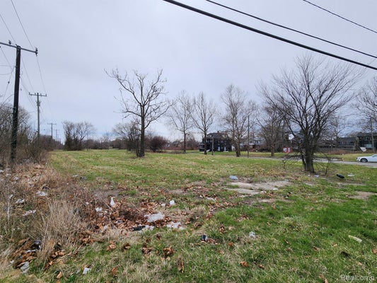 958 KITCHENER ST, DETROIT, MI 48215 - Image 3043f47b184ed8f5a9b23daf321ef5fe/1290925549
