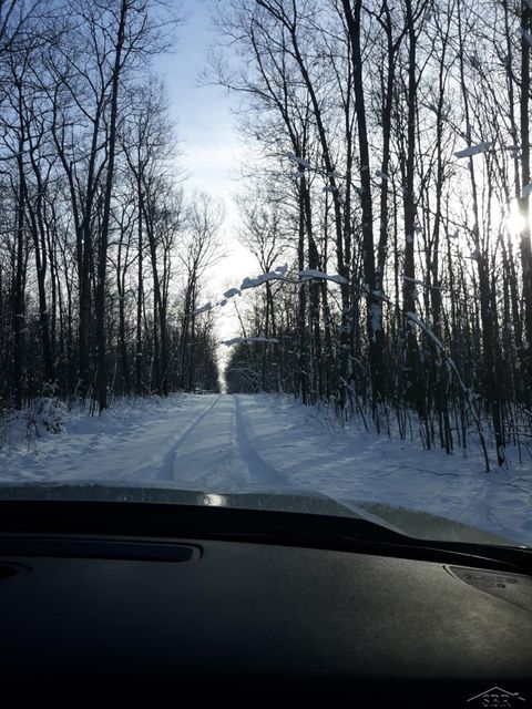 VL Camp Domino Trail Rust Township MI 49746