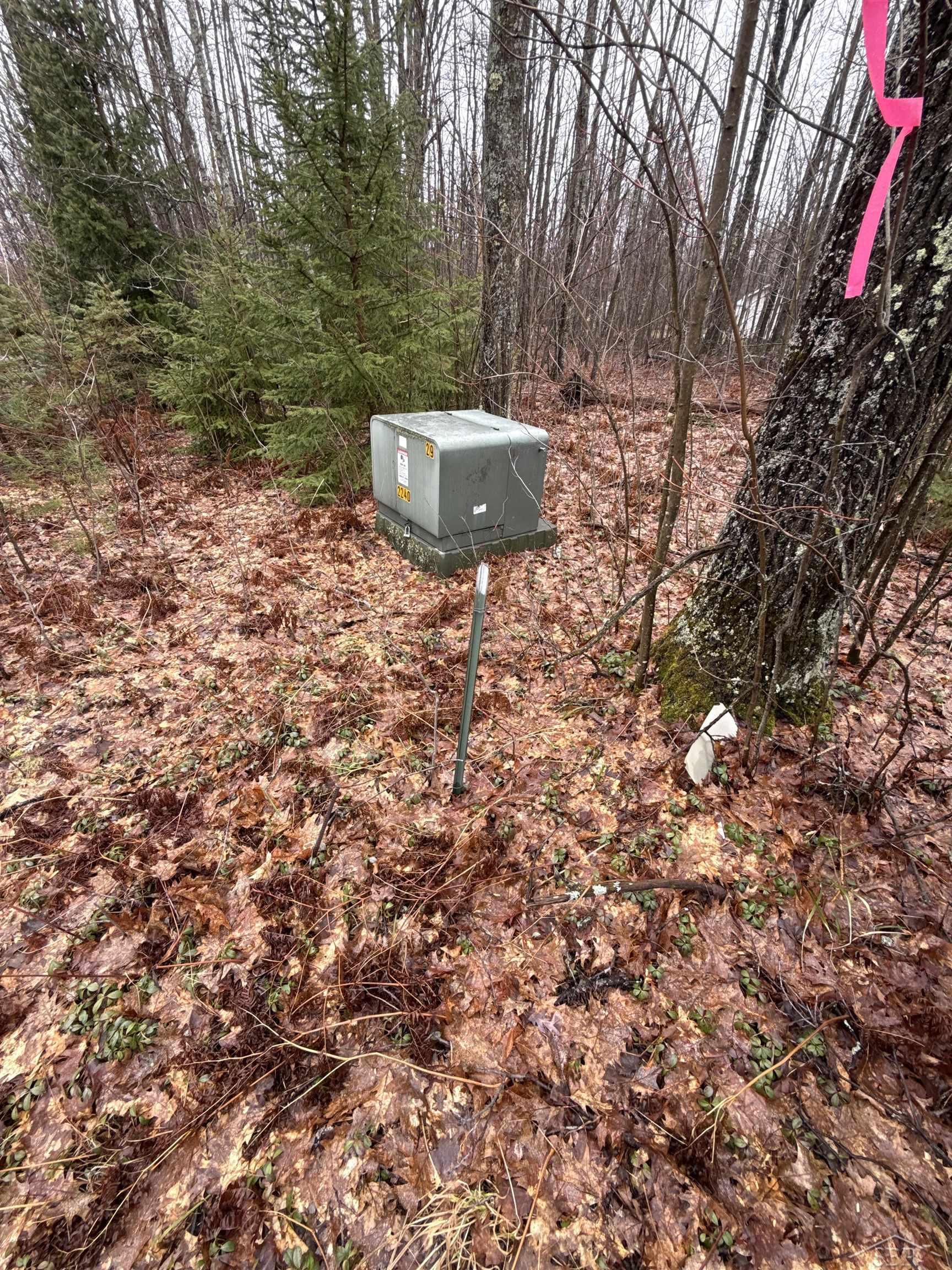 VL Camp Domino Trail