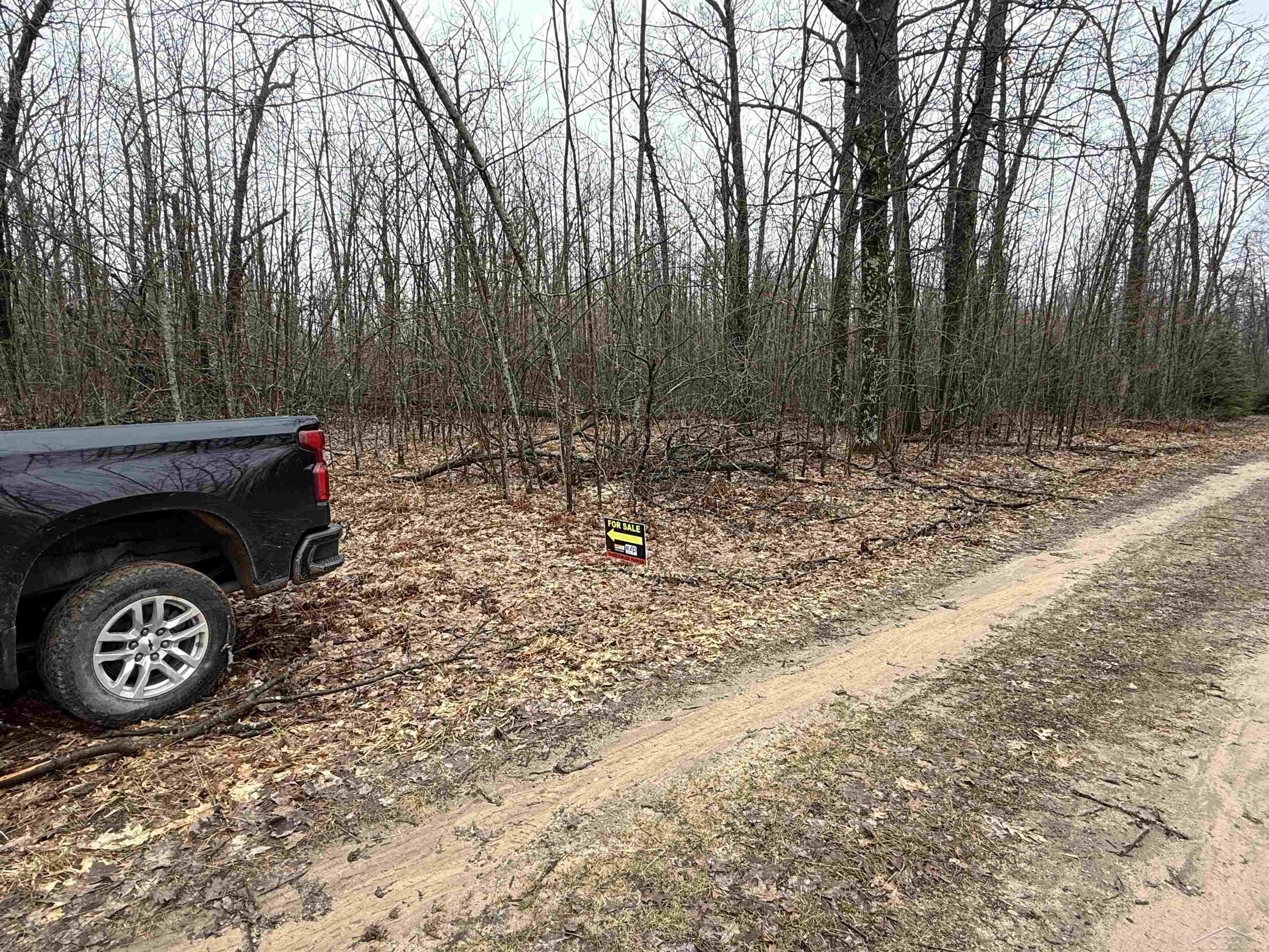VL Camp Domino Trail