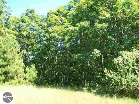 Lot 9 Torch Hills Lane Milton Township MI 49676