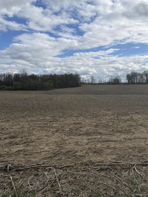 00 Thom Road Oregon Township MI 48721