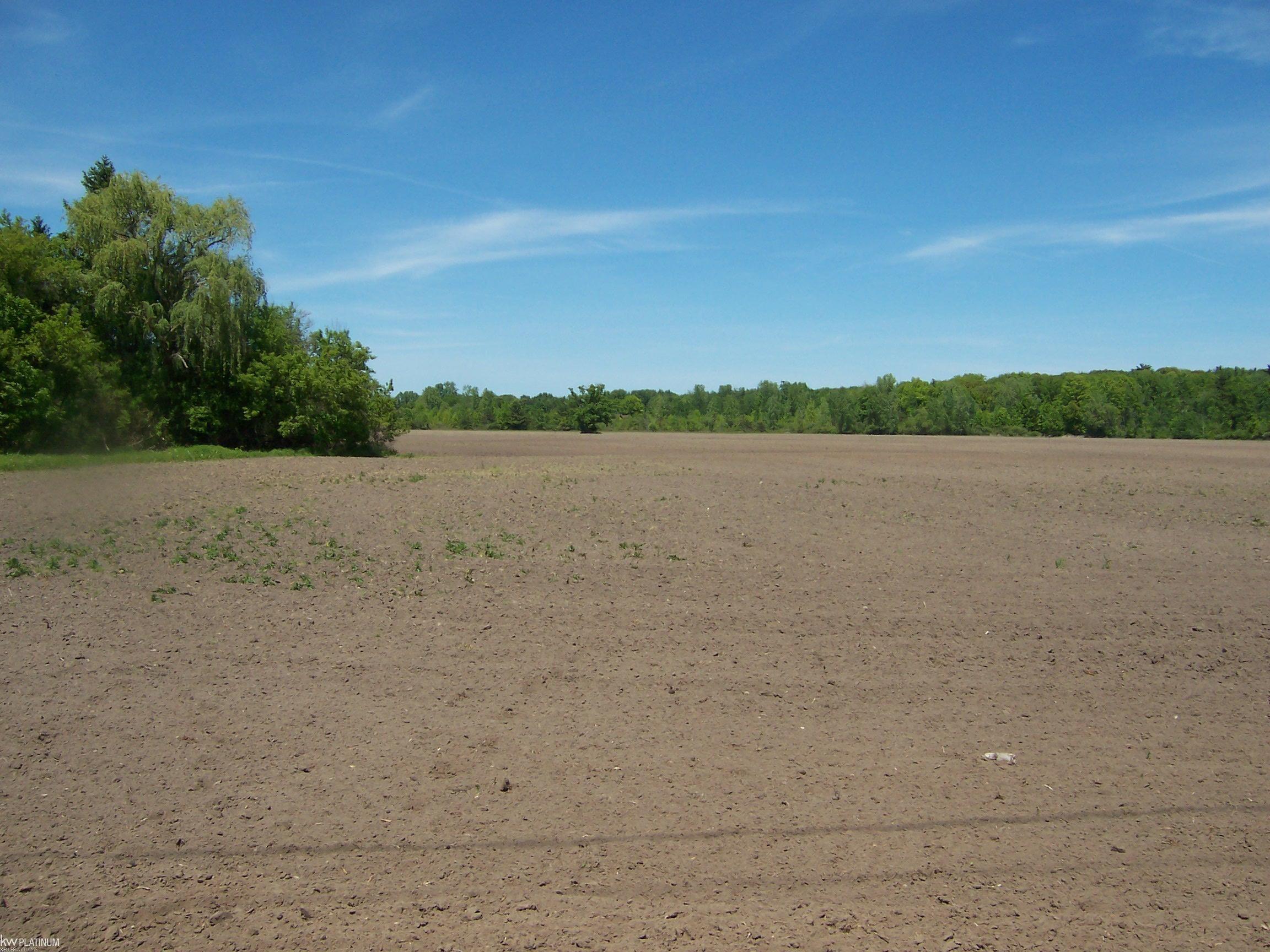 Lot 3 Lapeer Rd Road