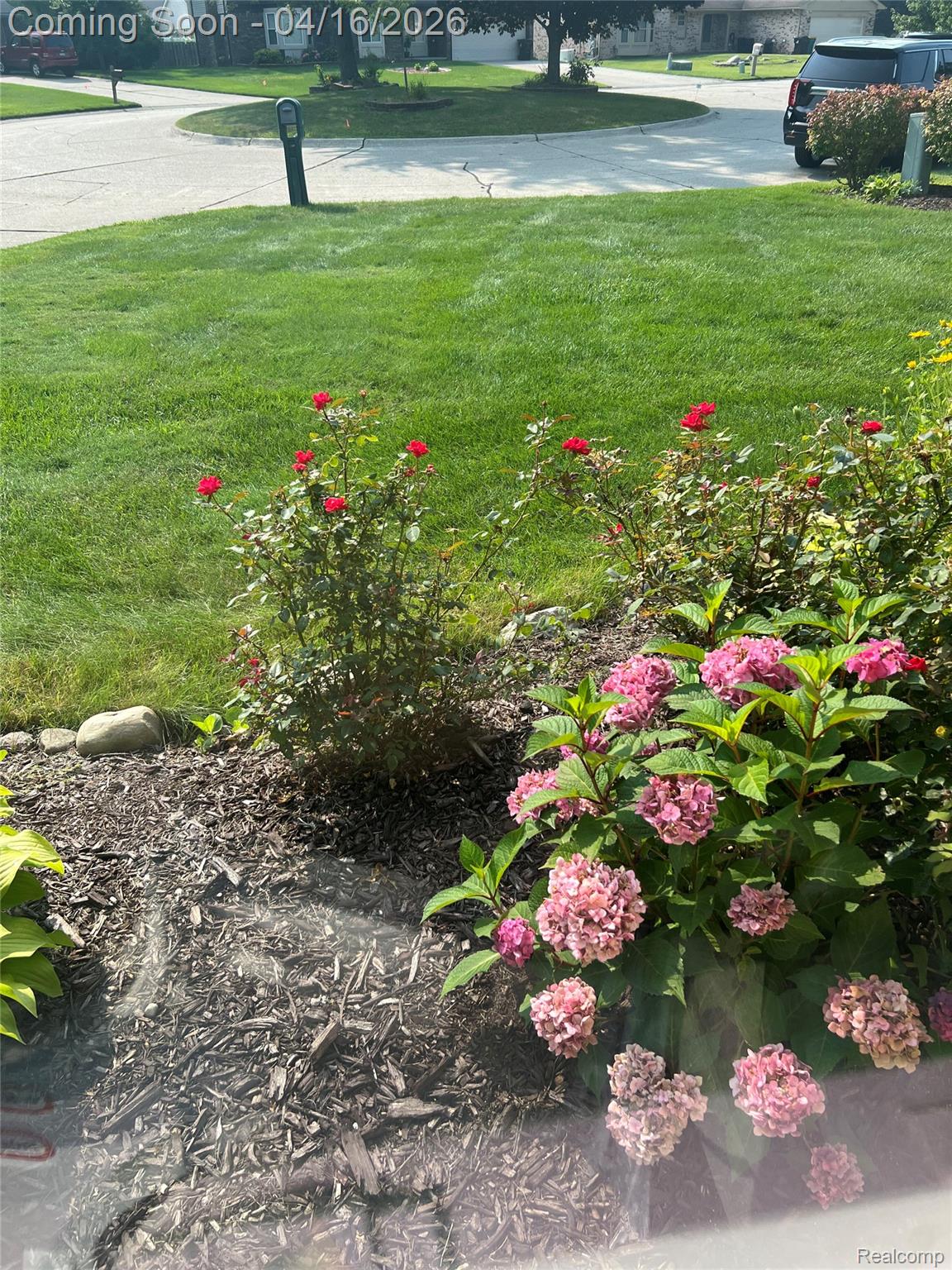 30461 Scotshire Court