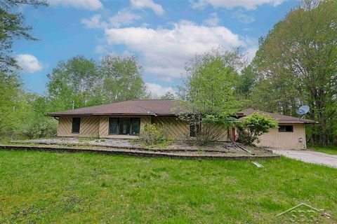 Photo of 1156 S Alamando Road, Greendale Township, MI 48883 (MLS # 61050208420)