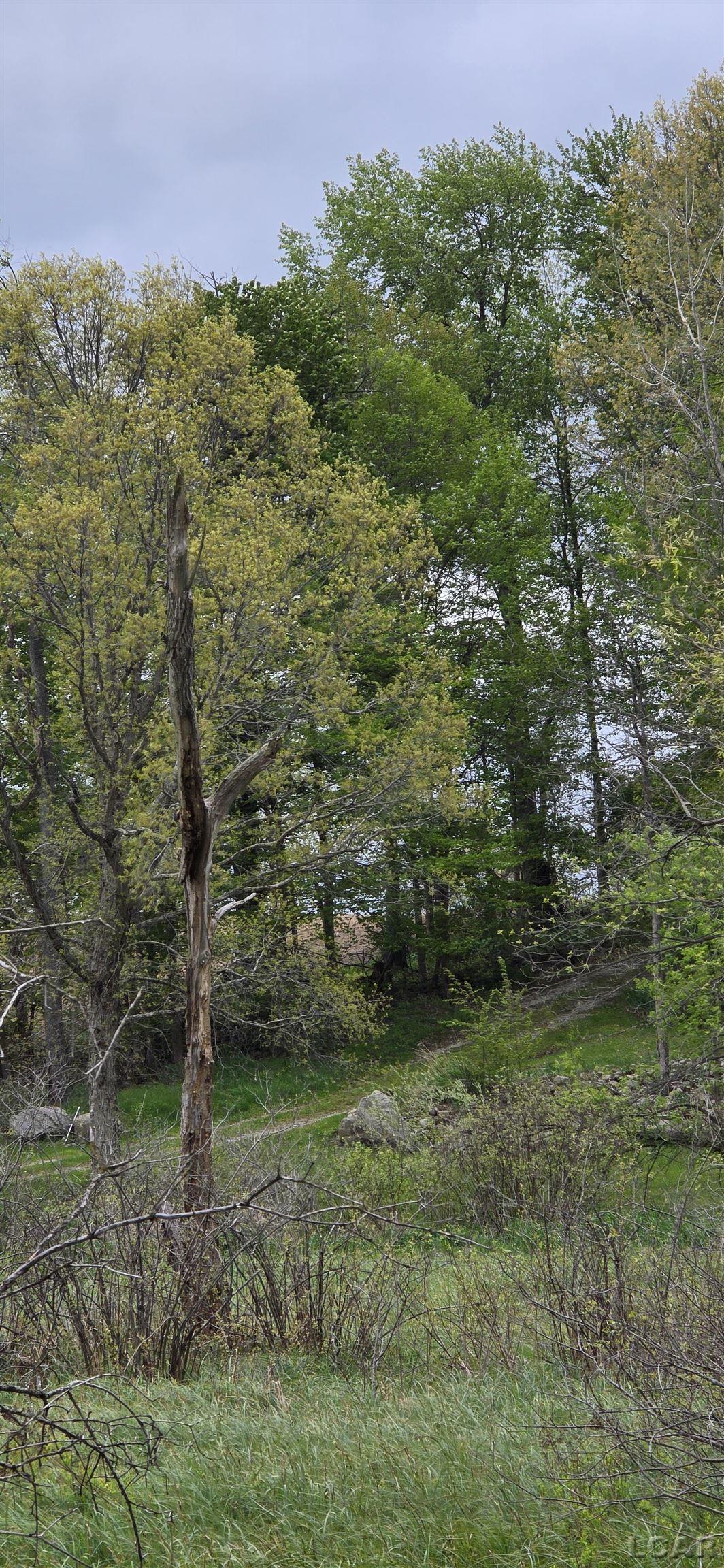 12000 Slee Road