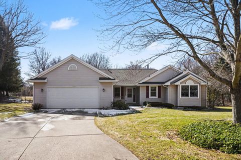 8135 Robinbrook Street Richland Township MI 49083