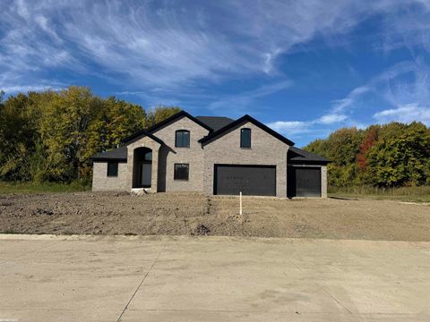 6908 Mallard Court Ira Township MI 48023