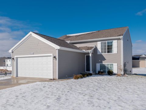 58994 Interlaken Street Mattawan Village MI 49071