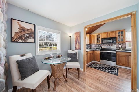 Tiny photo for 151 N Lakeview Boulevard, Rollin Township, MI 49253 (MLS # 56050203244)