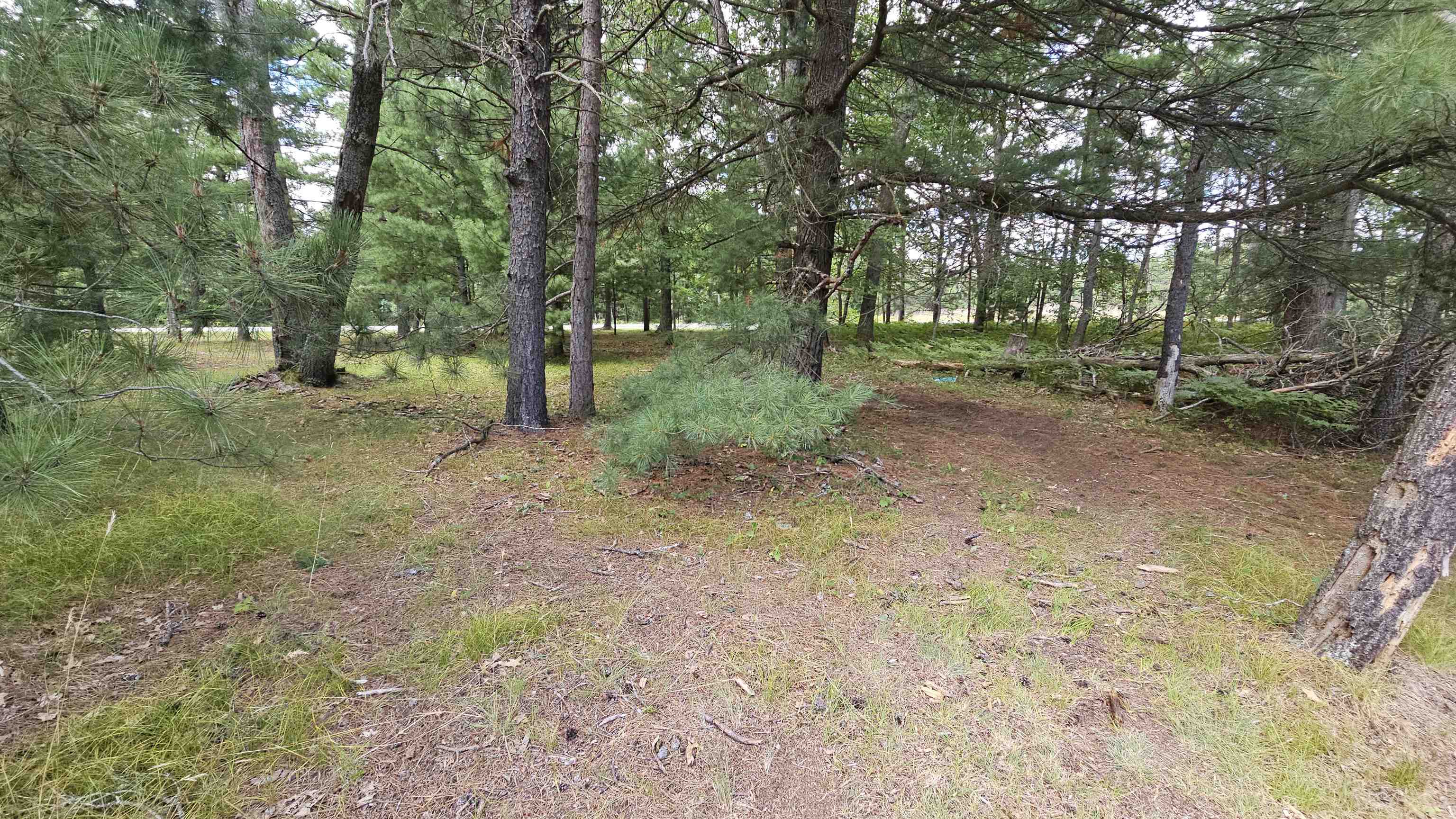 3089 Rose City Road