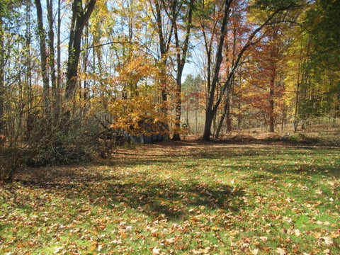 Tiny photo for 10022 S Brown Road, Unknown, MI 48834 (MLS # 65026056458)