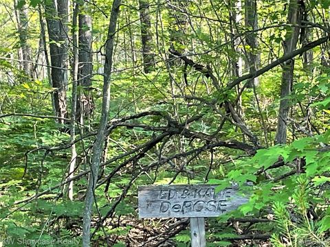 141 Garland Woods Lane Greenwood Township MI 49756