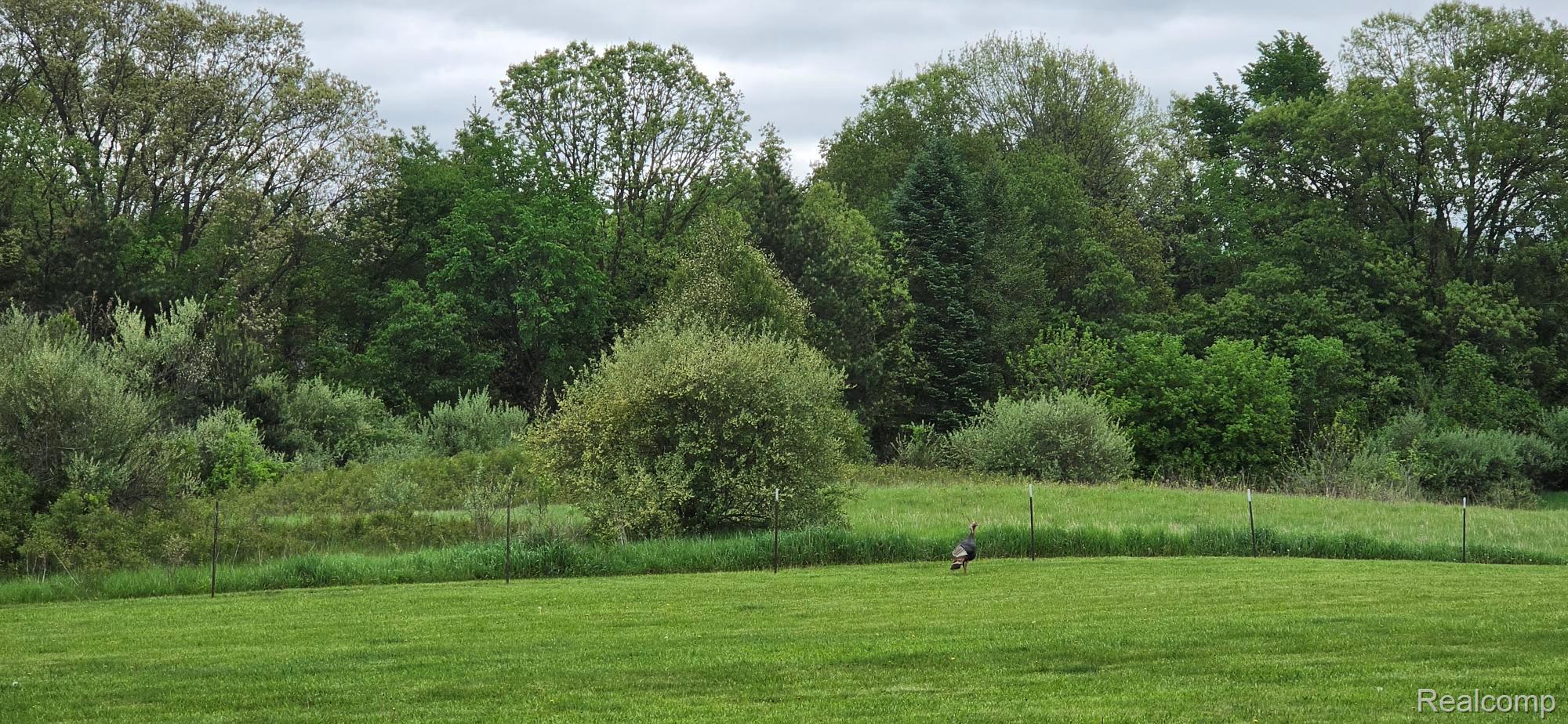 13.34 Acres Maple Rd E Maple Road E