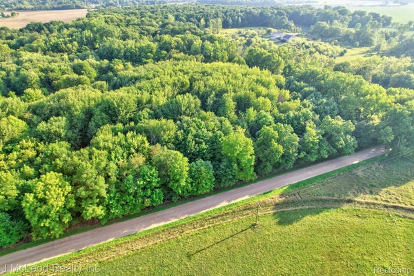 VL ARBELA ROAD, MILLINGTON, MI 48746 - Image 32459cc2e97babd23d83af99eee566dc/1894320484
