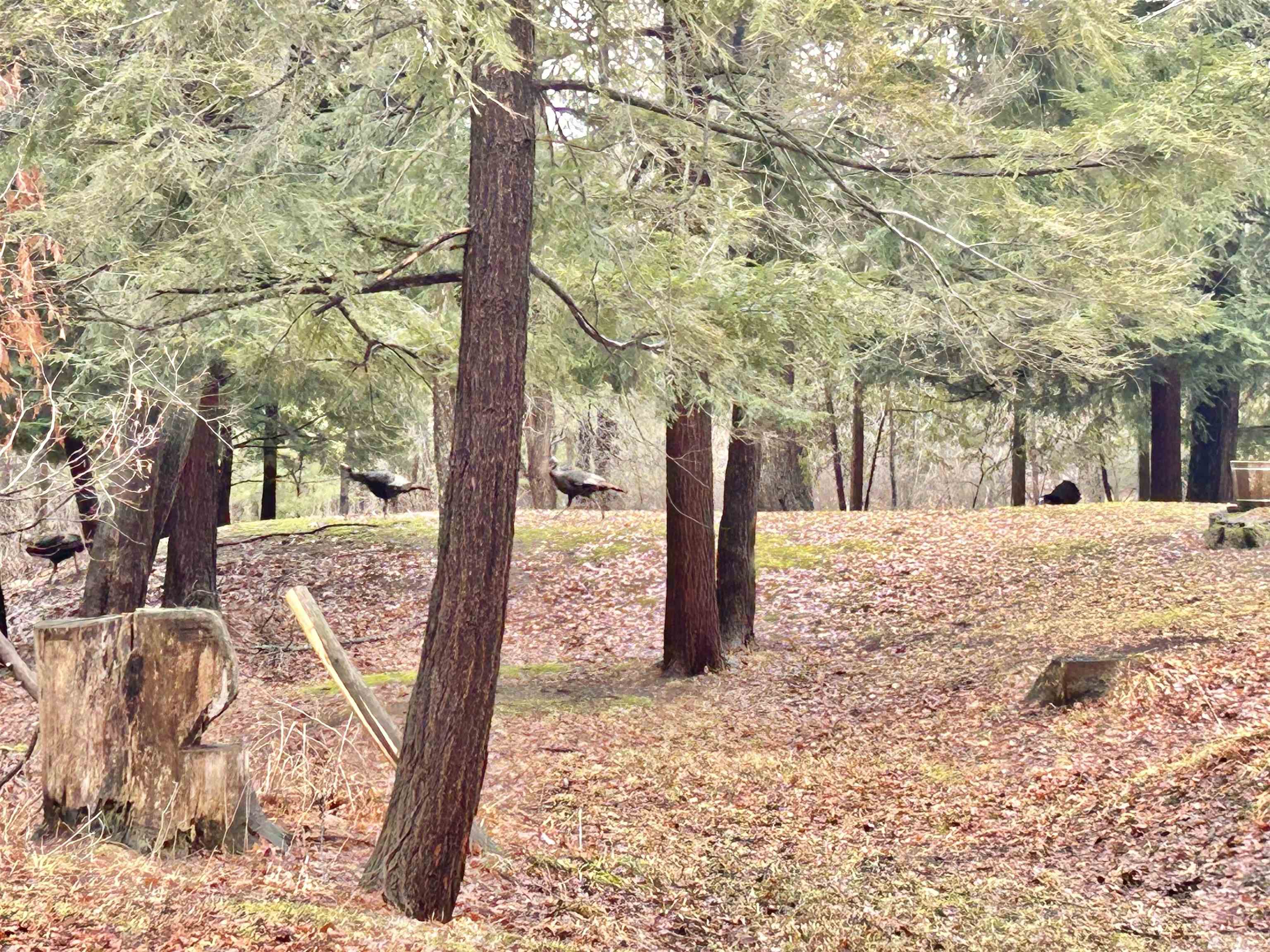 5233 Bunker Hill Road