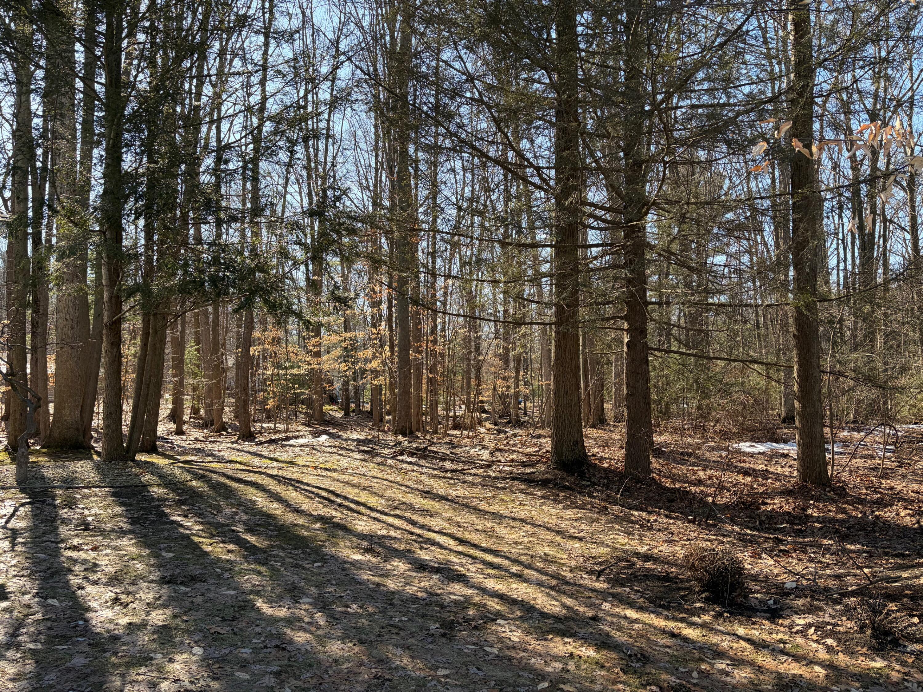 15144 Wintergreen Court