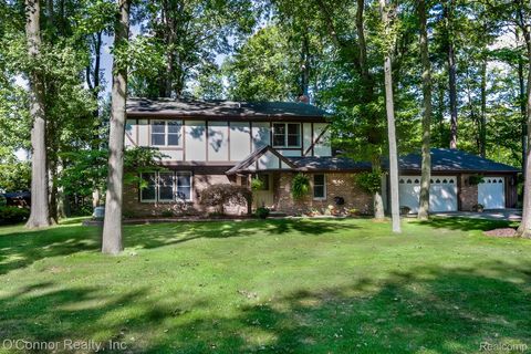 3465 West Drive Clyde Township MI 48049