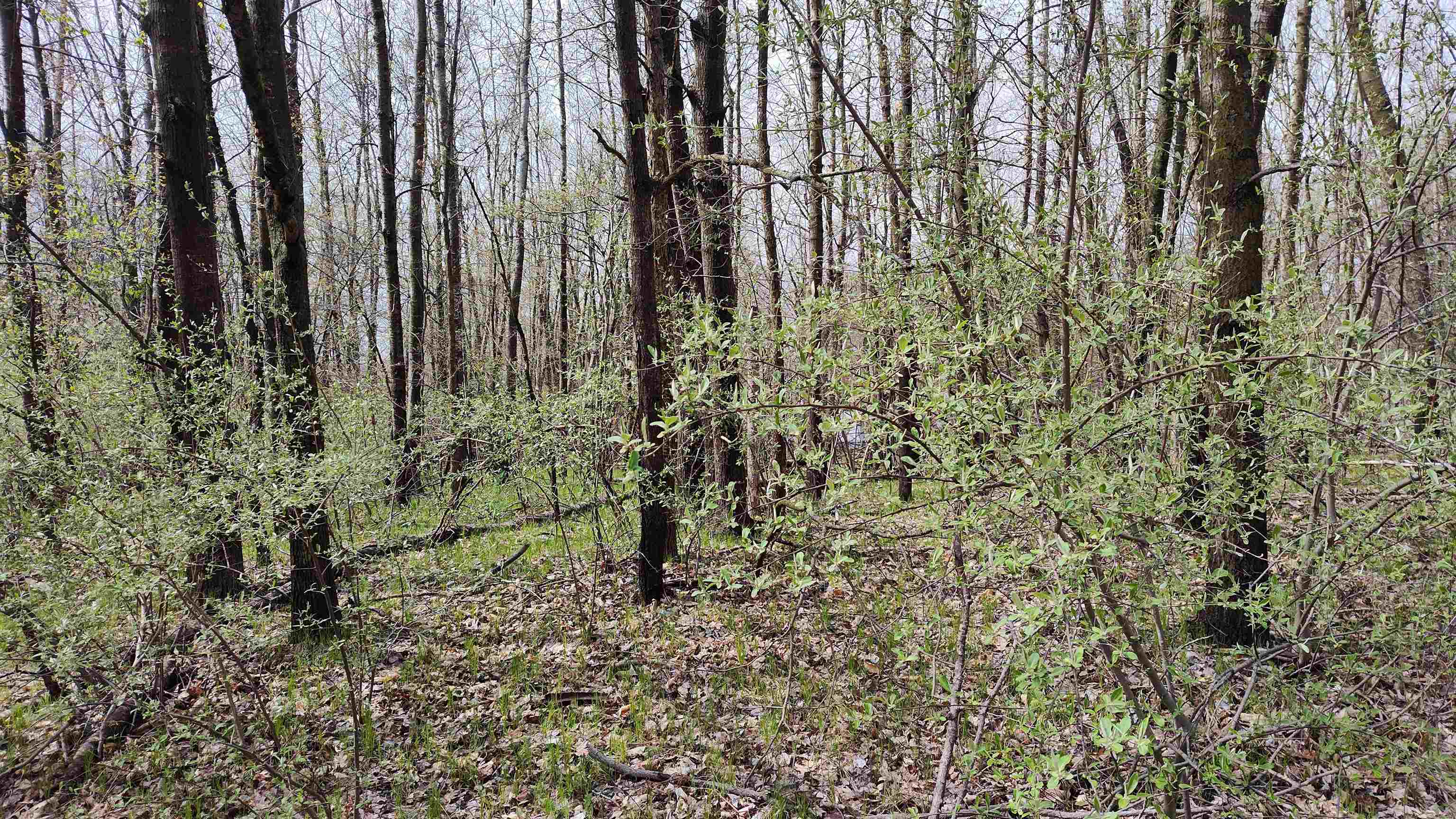 1150 Queensway Drive