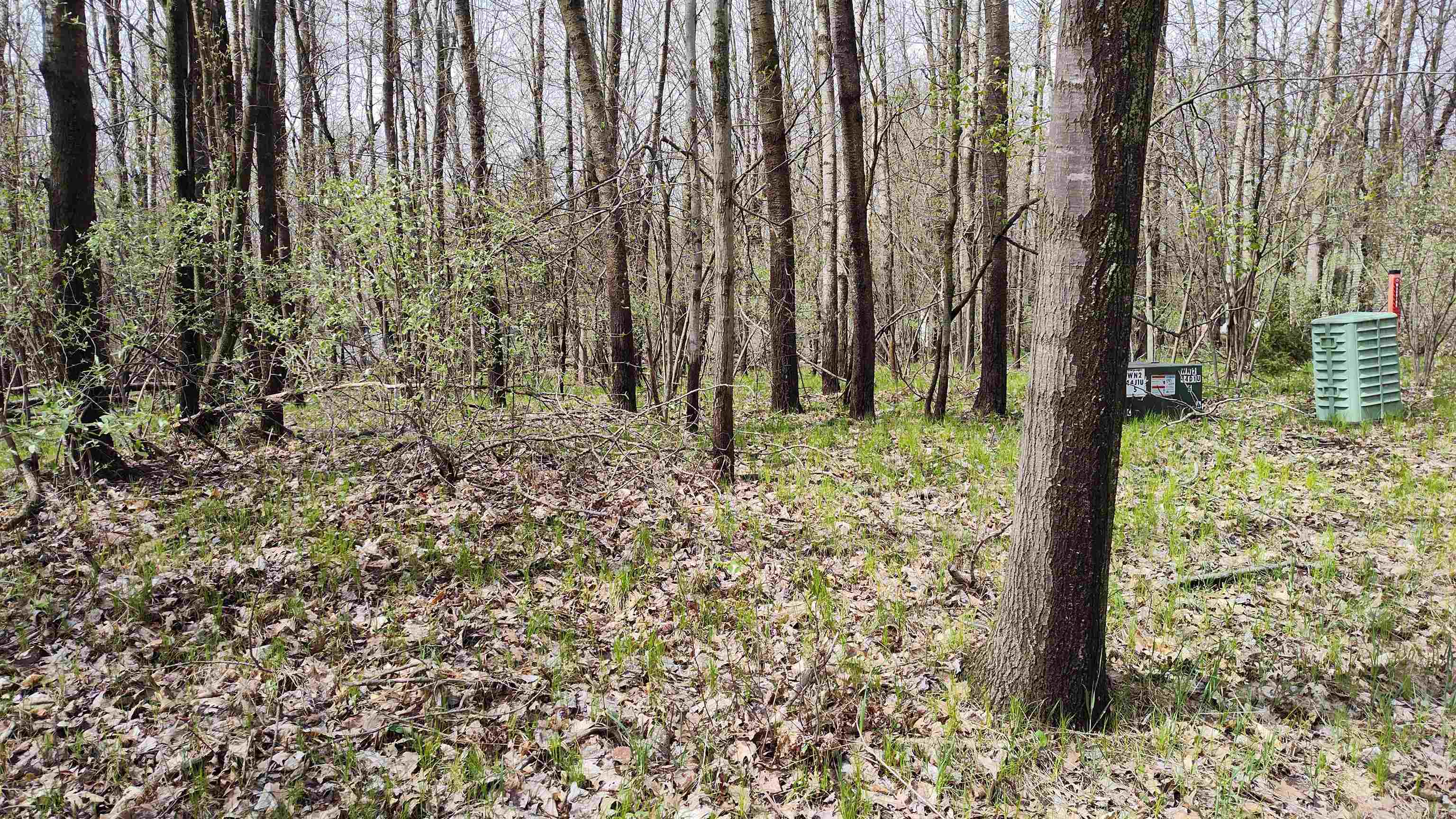 1150 Queensway Drive