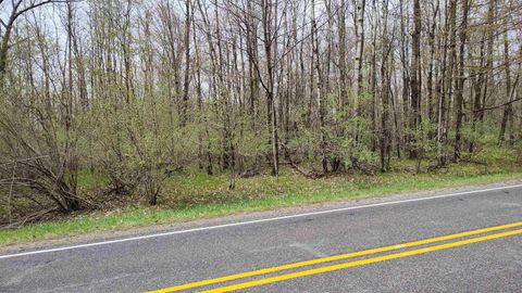 1150 Queensway Drive Sherman Township MI 48893