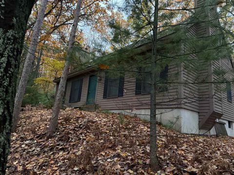 4545 Paper Birch Acme Township MI 49686