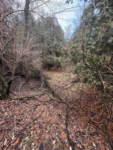 TBD Cedar Drive Deerfield Township MI 48858