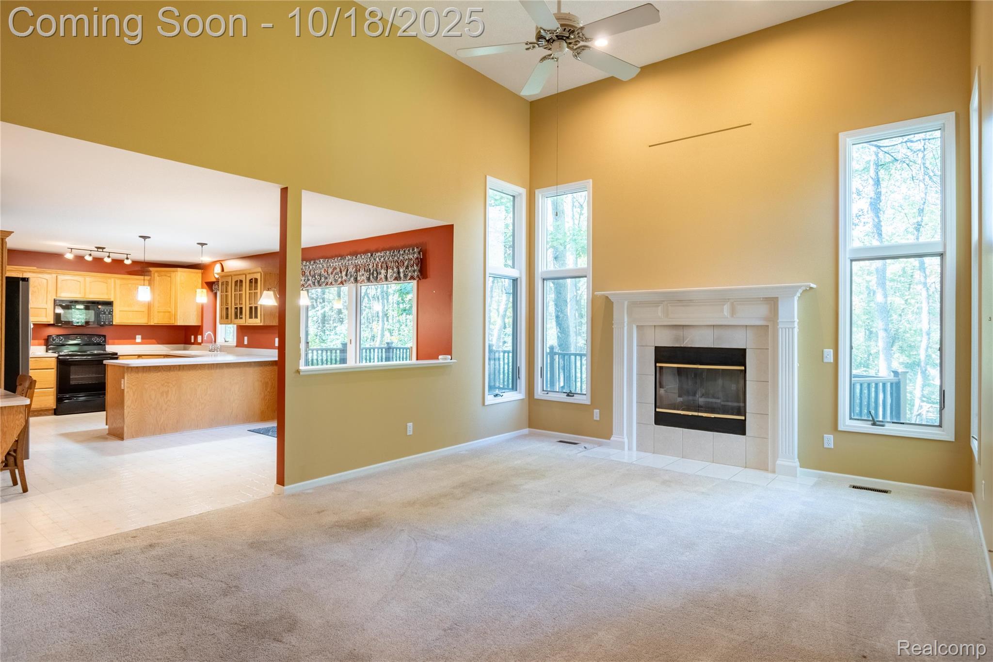 11410 Tall Shadows Court