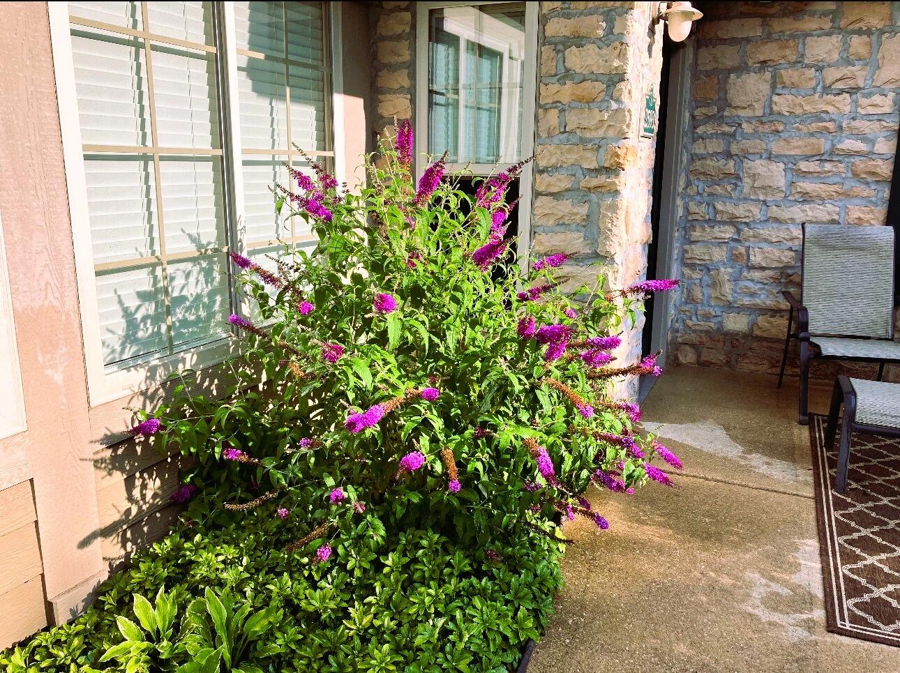 2593 Bluestone Circle